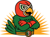 Pipo Perico